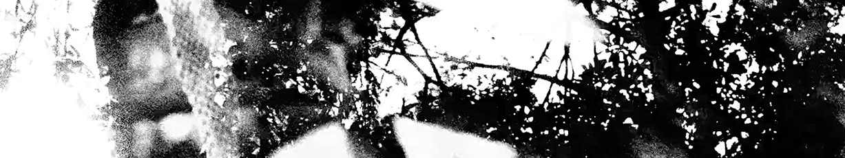 Untitled Summer Film