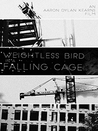 Weightless Bird in a Falling Cage